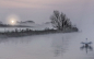 Wallpaper fog, lake, Swan, night