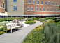 美国新泽西，医疗中心花园景观 / Sikora Wells Appel – mooool木藕设计网