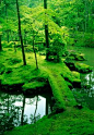 京都　西芳寺（苔寺）/Saiho-ji temple Kyoto, moss garden