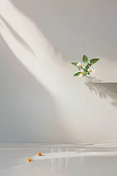唯美背景 (155)