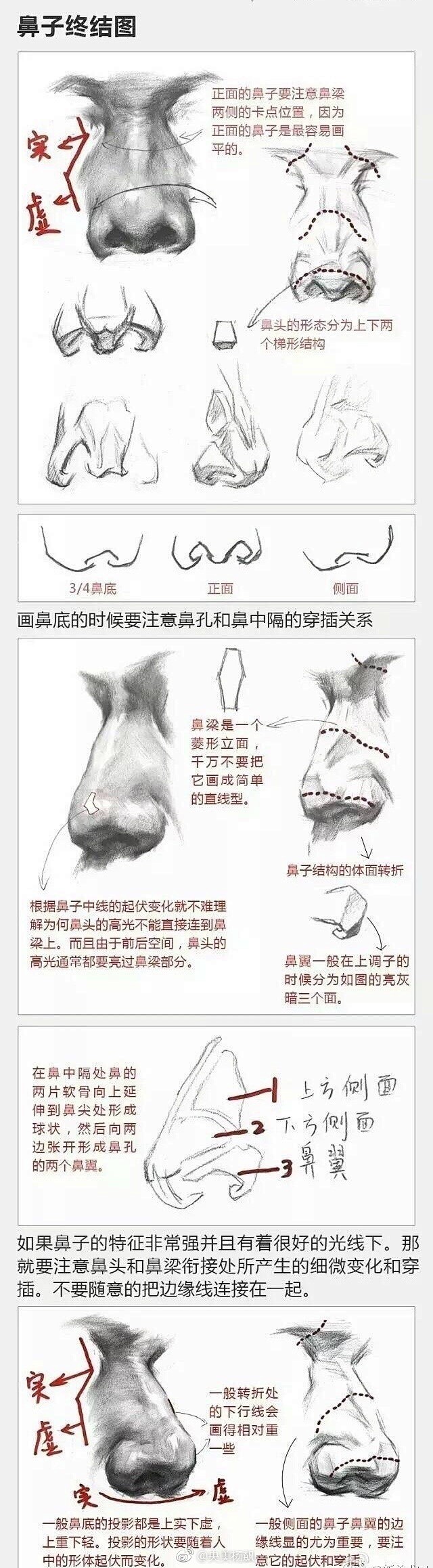 画任何一个五官之前最好先弄清他们生理的生...