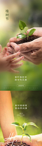 植树节节日移动端海报