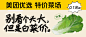 美团优选「春日运蔬车」贼有梗，逛遍羊城，买鲜肉10元有找！