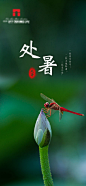 处暑节气海报