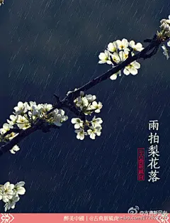 古典新风尚的照片 - 微相册