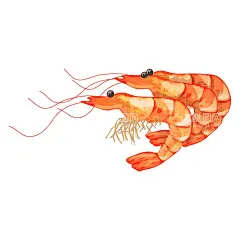 海鲜   - 源文件下载【酷图网】海鲜,食物,海产食物,鱼虾蟹贝,料理,动物,海产品,