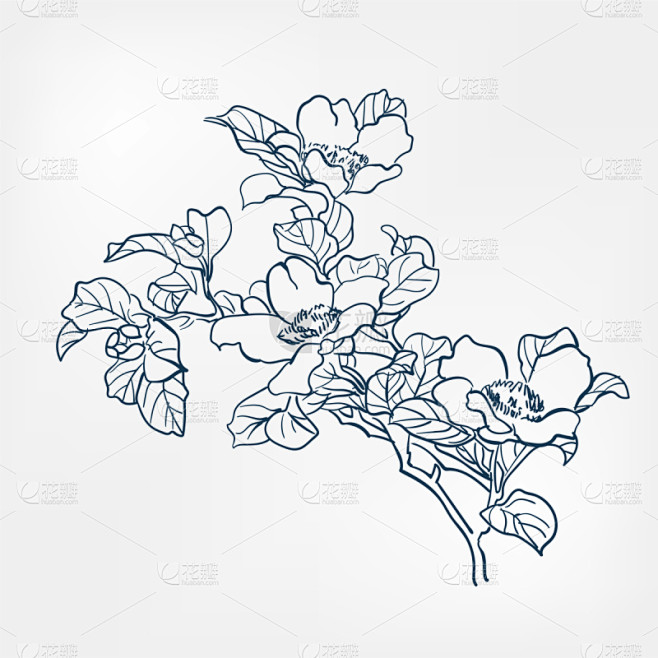 日本,矢量,涂料,草图,高雅,设计元素,设计,花
