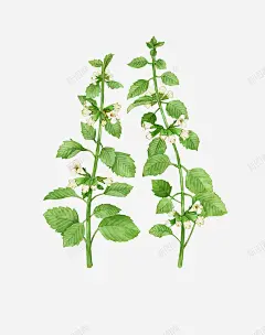 卡通手绘蔬菜装饰海报高清素材 卡通植物插画 卡通装饰 小清新插画 广告设计 海报设计 美食 蔬菜 蔬菜插画 平面广告 设计图片 免费下载