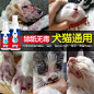 宠物皮肤病皮炎湿疹抗真菌金毛泰迪狗猫除螨虫猫藓止痒喷剂-tmall.com天猫