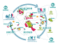 “Universidad del Istmo Master Plan and Implementation”的图片搜索结果