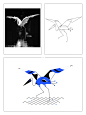 图形设计丨新几何动物概括方法及流程作业