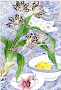 Orchids and lemon GABBY MALPAS: 