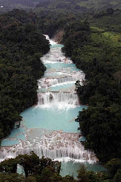 红豆·相思采集到旅行