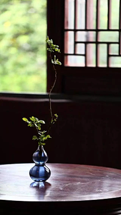 Vonly1采集到其他