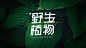字体江湖