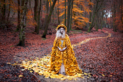 湖畔阴影采集到克里斯蒂·米切尔(Kirsty Mitchell)，英国摄影师