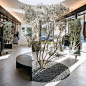 An olive tree grows from a patch of gravel towards a circular skylight in this Los Angeles store, which was designed by local studio Dan Brunn Architecture.