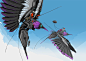 darren-bartley-fightpunch-birds.jpg (1835×1300)