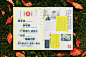 Behance :: 为您呈现