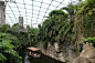 德国莱比锡动物园-热带温室1
