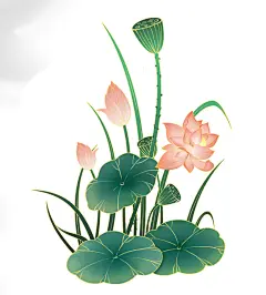 手绘荷韵莲蓬中国风背景国潮山水元素插画