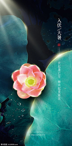 苯乄孓亥采集到24节气/文案/广告创意文案