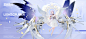碧蓝航线的个人空间_哔哩哔哩_bilibili
