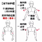 【新手教程】第12期：手臂篇，关于手臂的碎碎念