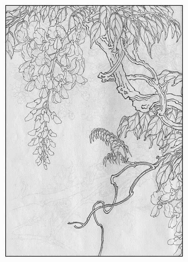 13:03:28紫藤线稿青云动漫娱乐该采集也在以下画板加载更多