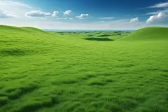 绿色小草自然风景摄影图