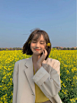 油菜花都开啦 一起去看吧