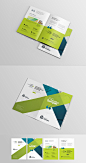 Stock photos, royalty-free images, graphics, vectors & videos