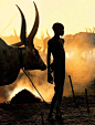 南苏丹的Dinka族人逐水草而栖，雨季耕种，旱季放牧。在成人仪式上，年轻的Dinka男人们会领到一头公牛，而这头牛的名字也将成为主人名字的一部分。据称该族人视牛如命，日常以牛乳为食，还会以牛尿沐浴。（摄影师CarolBeckwith和AngelaFisher）
