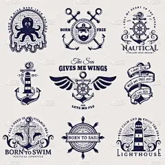 船,绘画插图,海洋,矢量,绳子,背景分离,谚语,复古风格,海豚,证章