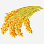一簇金黄色的稻穗 自然 元素 免抠png 设计图片 免费下载 页面网页 平面电商 创意素材