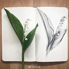 简单的线条画出不简单的美~【插画师：Courtney Roth】 ​ ​​​​