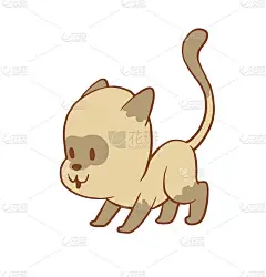 可爱的小猫在看东西，彩色图像