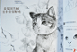【正版图书】《画给喵星人的小素描》猫咪肖像画-淘宝网