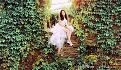 爱似爬山虎~照片-爱似爬山虎~图片-爱似爬山虎~素材