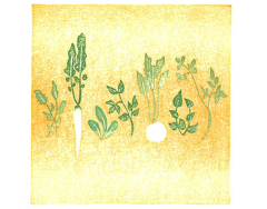 小石_新阅读采集到节气_版画