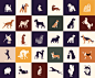 Dogfolio : A selection of logos designed for individual dog breeds.