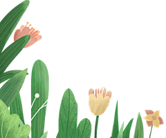 MESSSSSSIIIIII采集到PNG植物花草