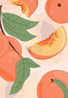 成熟的桃子在枝上。甜油桃水果矢量手绘卡片设计。桃仁、树叶。