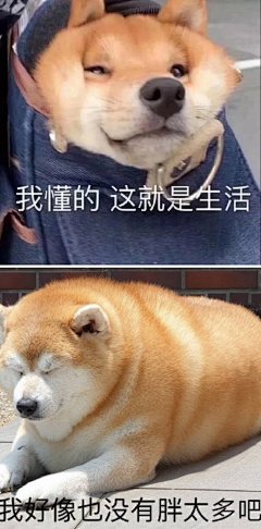 情包仓库上新啦~
快来看评论拿原图吧！ ​​​​