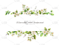 Watercolor vector banner of flowers Jasmine and mint branches isolated on white background.