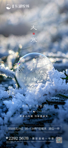 月野-采集到节日节气