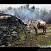 秋色川西，印象天堂－游走新都桥，稻城，亚丁, 网际飞侠旅游攻略
