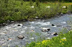 山 自然 大河 景观 免费壁纸 俄罗斯 森林 酷背景 旅游