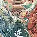 采集图片