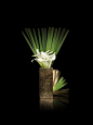 Image result for armani flowers: 